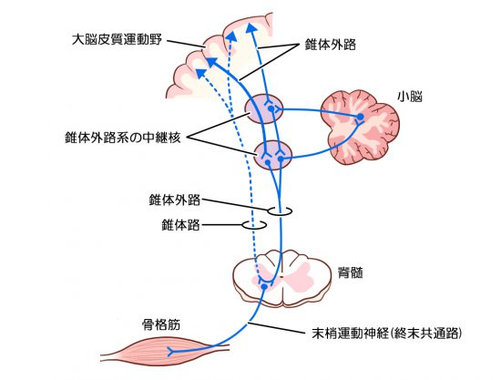 錐体外路症状